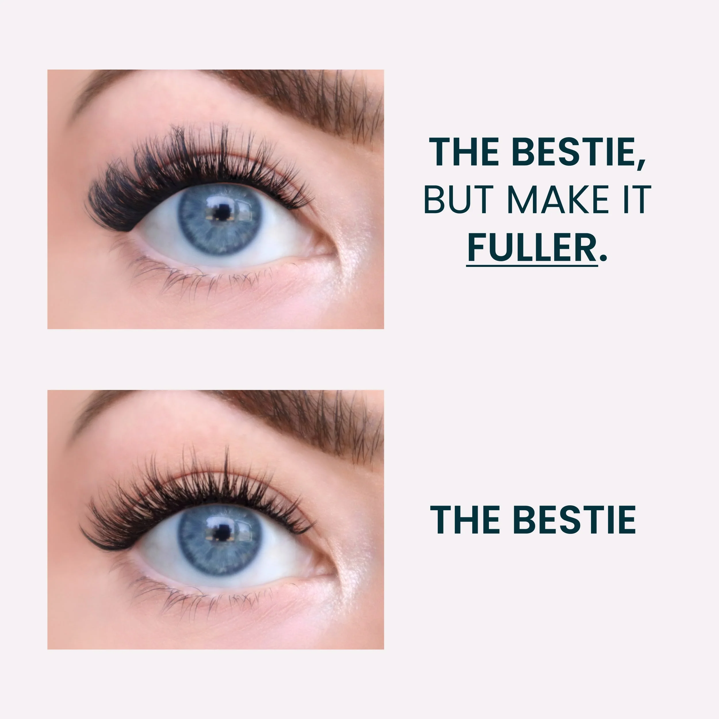 FlutterHabit Family Edit - Bestie but Fuller - Image 6