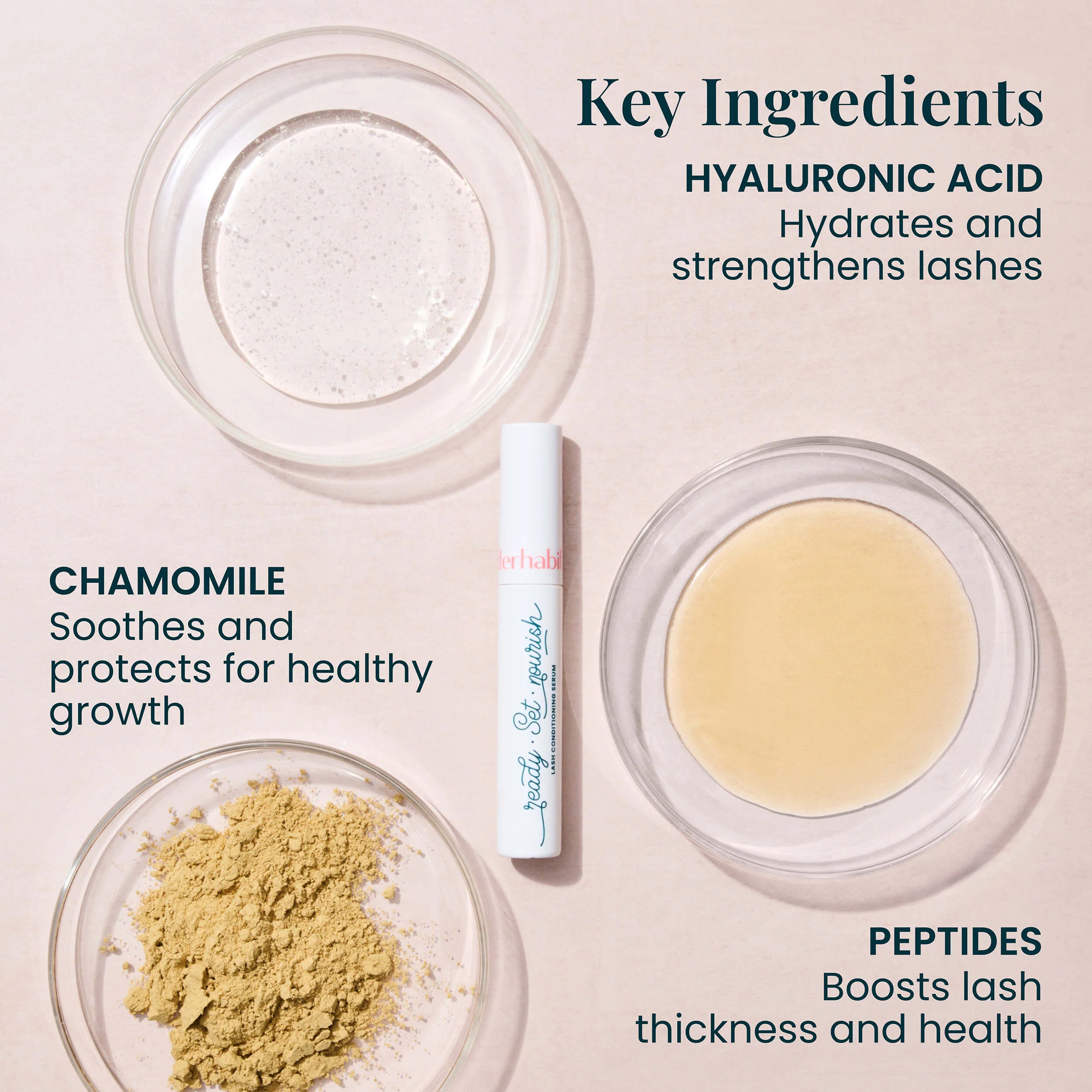 Ready. Set. Nourish. Lash Conditioning Serum - Image 4