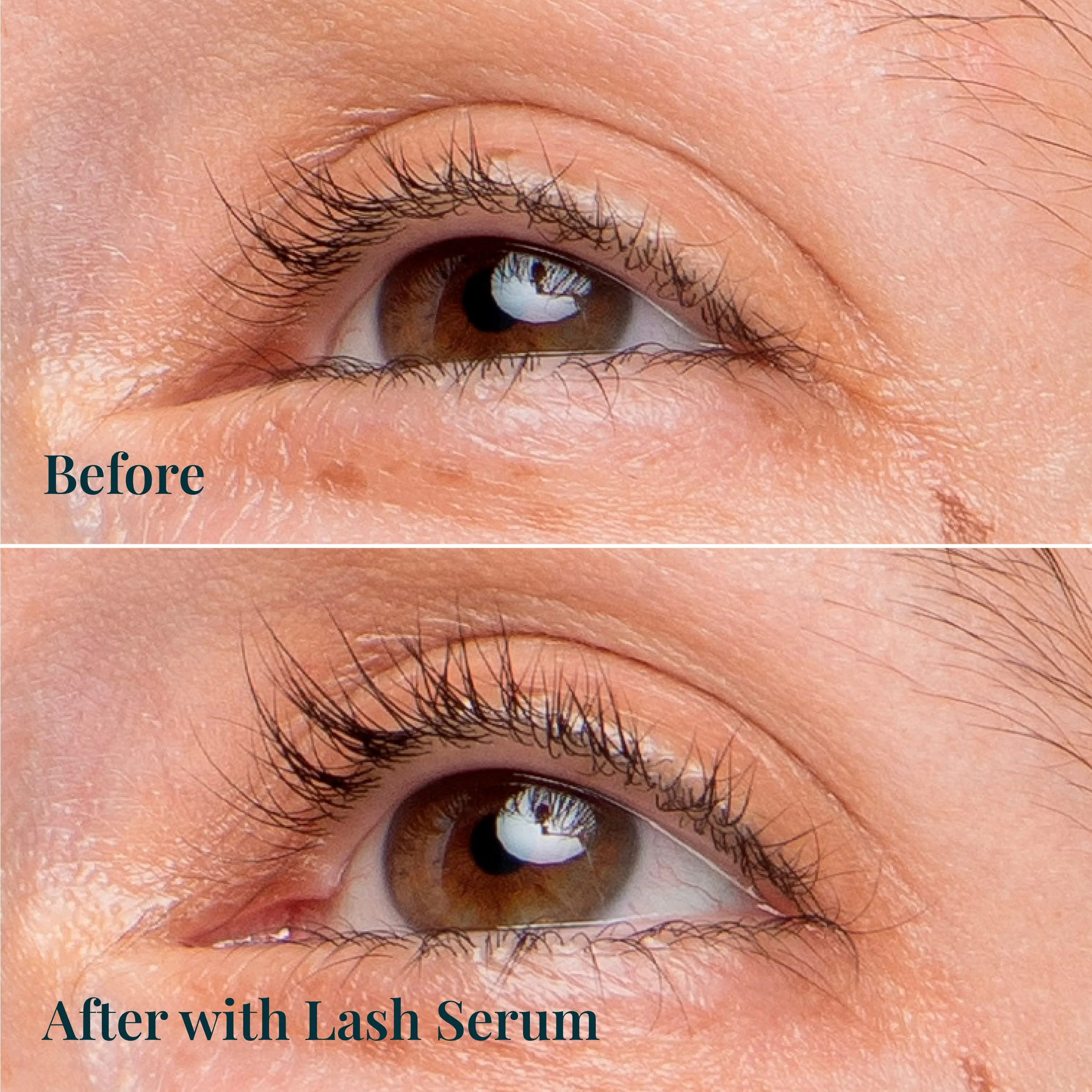 The Lash TLC Duo - Image 5