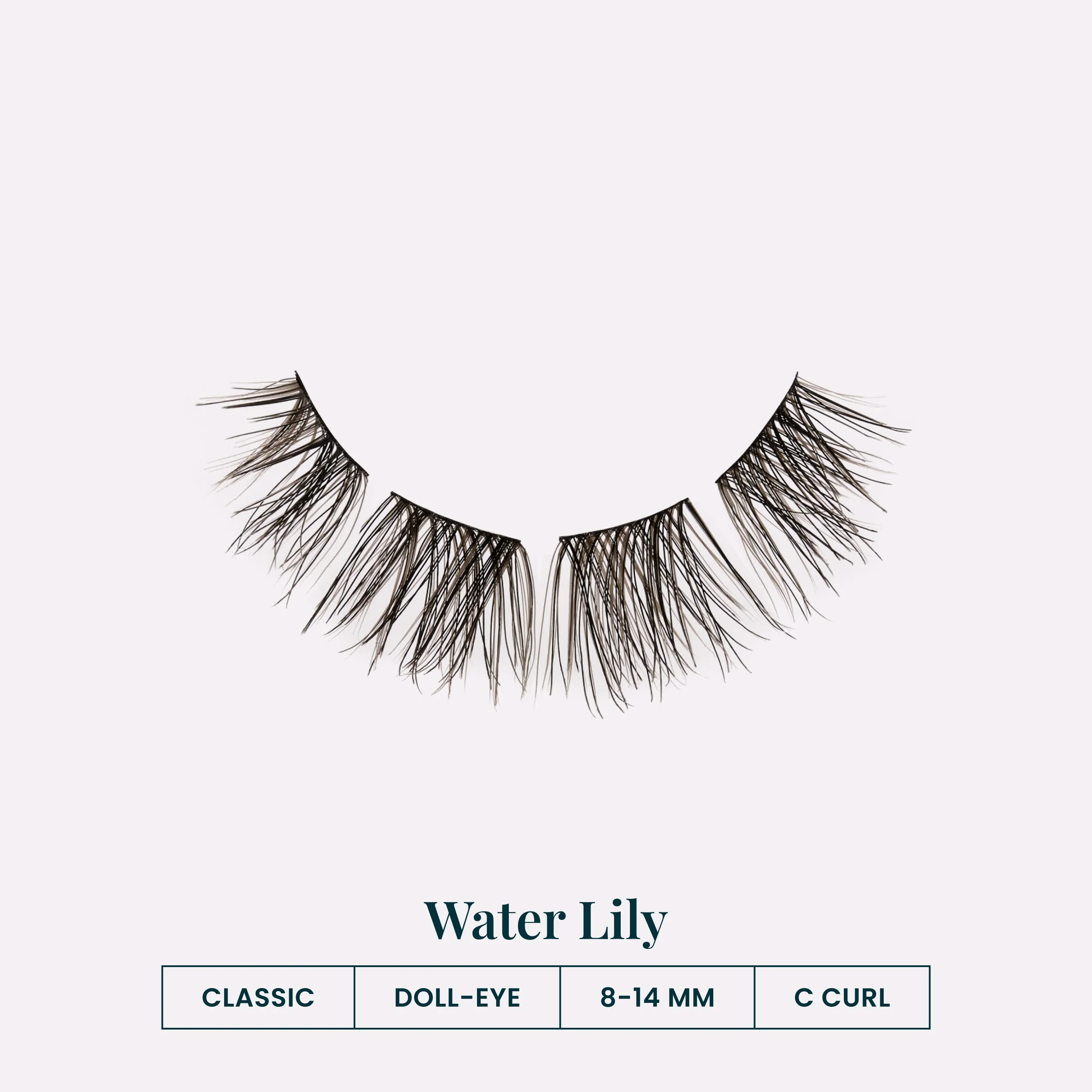 Water Lily - Image 3